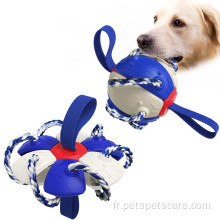Chien jouant à mâcher des jouets heureux chien pliable ballon